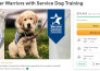 write gofundme pitch and create full gofundme page